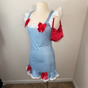Bundle Dorothy Costume M/L Gingham Dress & Red Satin Purse Oz Wicked Cosplay Set